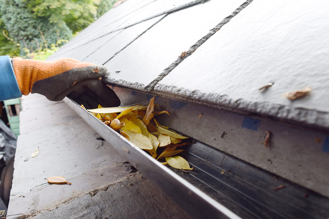 Clean Your Gutters