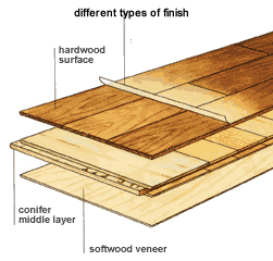 What is a veneer?